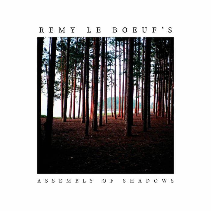REMY LE BOEUF - Assembly of Shadows cover 