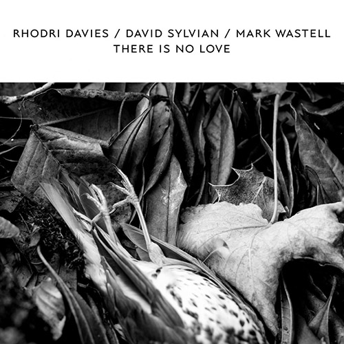 RHODRI DAVIES - Rhodri Davies / David Sylvian / Mark Wastell : There Is No Love cover 