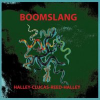 RICH HALLEY - Rich Halley, Dan Clucas, Clyde Reed, Carson Halley : Boomslang cover 