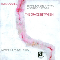 ROB MAZUREK - Exploding Star Electro Acoustic Orchestra: The Space Between cover 