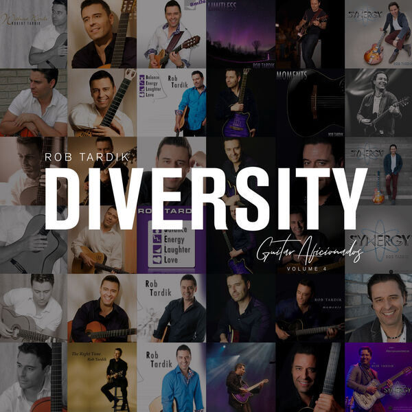 ROB TARDIK - Diversity, Vol. 4 : Guitar Aficionados cover 