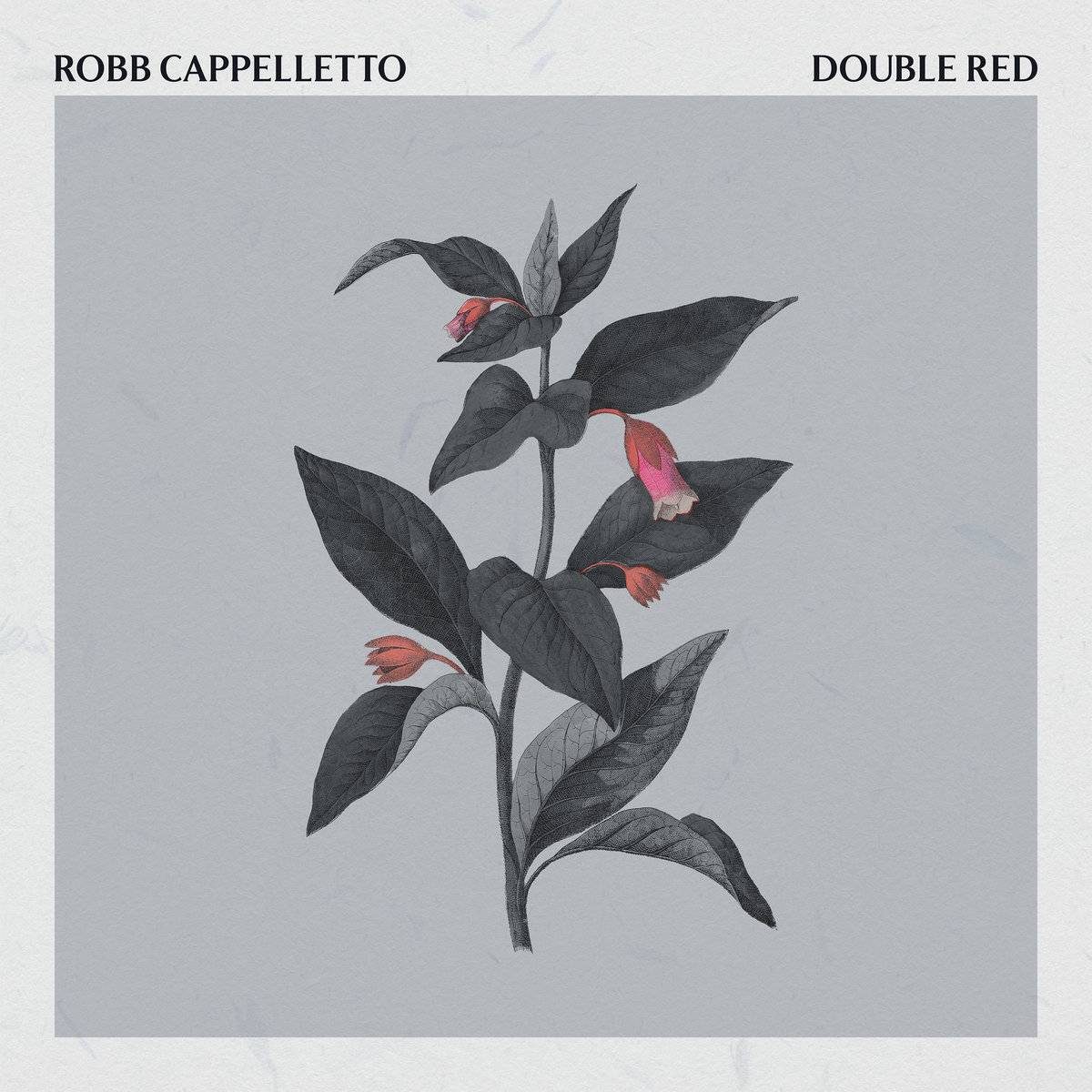 ROBB CAPPELLETTO - Double Red cover 