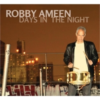 ROBBY AMEEN - Days in the Night cover 