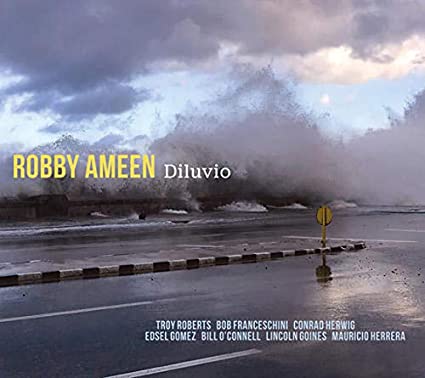 ROBBY AMEEN - Diluvio cover 