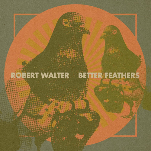 ROBERT WALTER - Better Feathers cover 