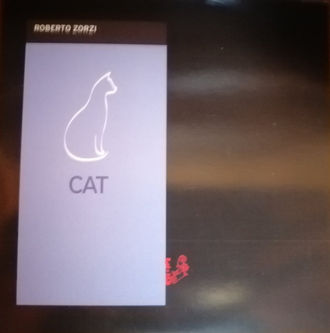 ROBERTO ZORZI - Cat cover 