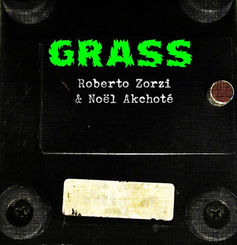 ROBERTO ZORZI - Roberto Zorzi, Noël Akchoté : Grass (Guitar Duets Series) cover 