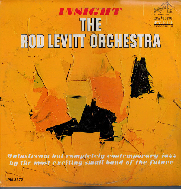 ROD LEVITT - Insight cover 