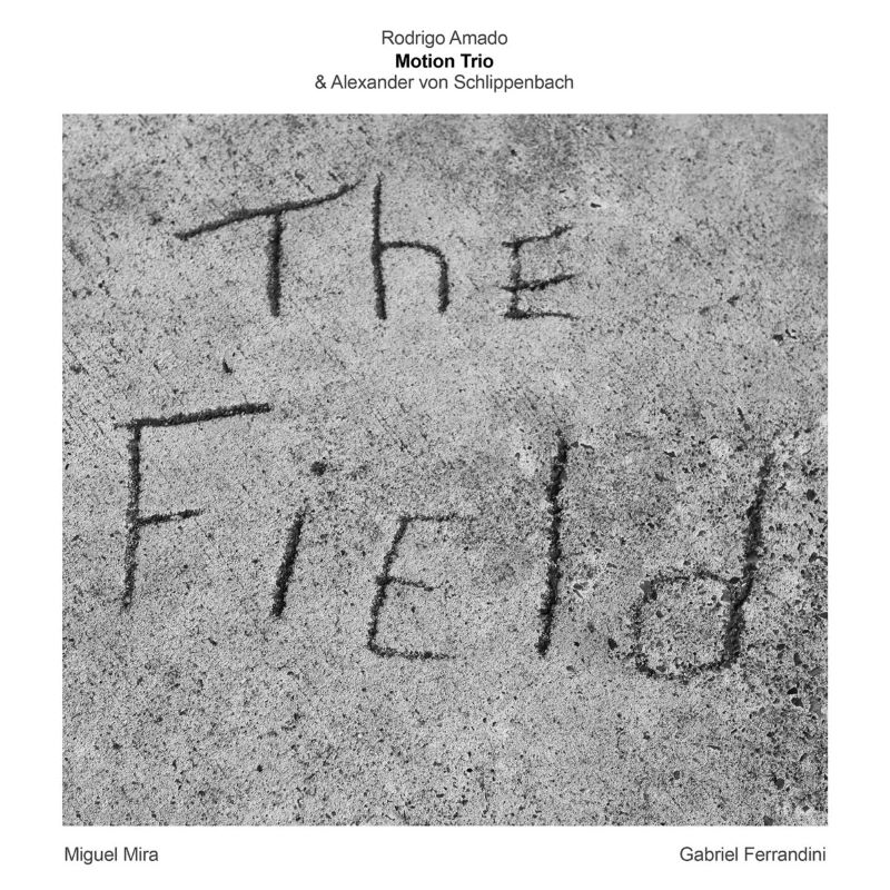 RODRIGO AMADO - Rodrigo Amado Motion Trio & Alexander von Schlippenbach : The Field cover 