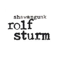 ROLF STURM - Shawangunk cover 