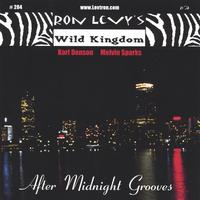 RON LEVY - After Midnight Grooves cover 