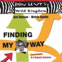 RON LEVY - Finding My Way cover 