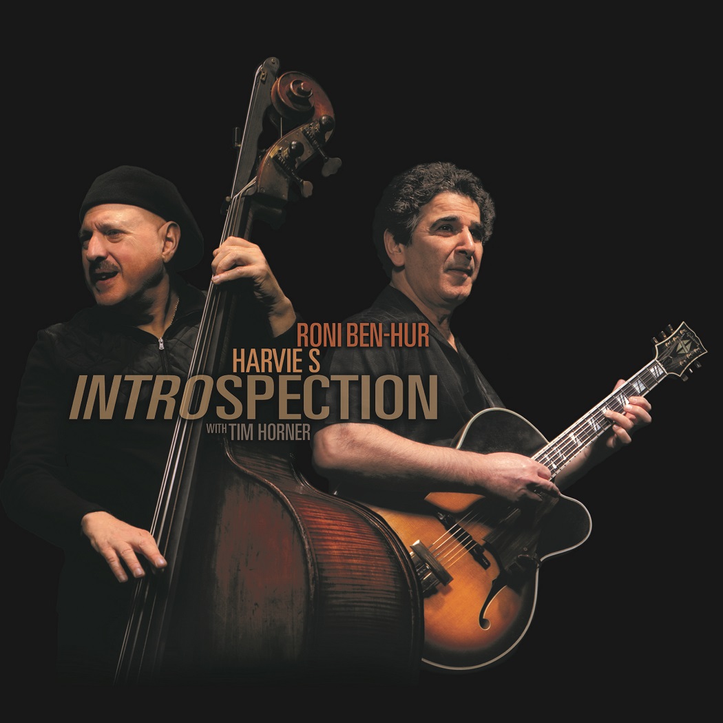 RONI BEN-HUR - Roni Ben-Hur & Harvie S : Introspection cover 