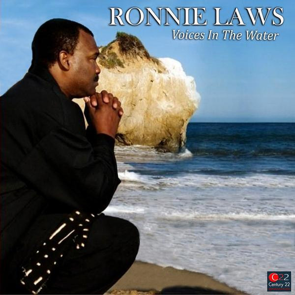RONNIE LAWS - Voices In The Water cover 
