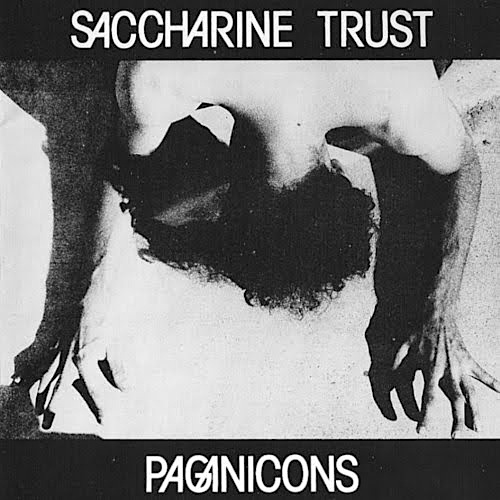 SACCHARINE TRUST - Paganicons cover 