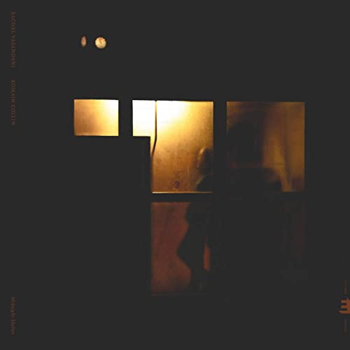 SACHAL VASANDANI - Sachal Vasandani and Romain Collin : Midnight Shelter cover 