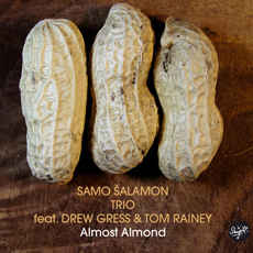 SAMO ŠALAMON - Samo Šalamon Trio Feat. Drew Gress & Tom Rainey : Almost Almond cover 