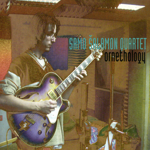 SAMO ŠALAMON - Ornethology cover 