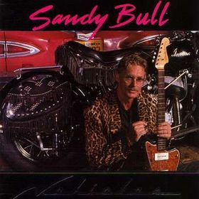 SANDY BULL - Vehicles cover 