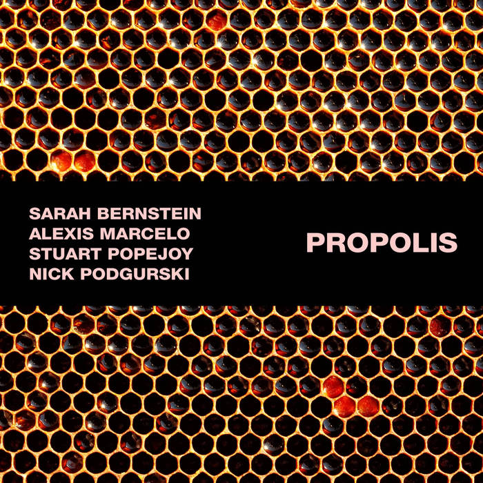 SARAH BERNSTEIN - Propolis cover 