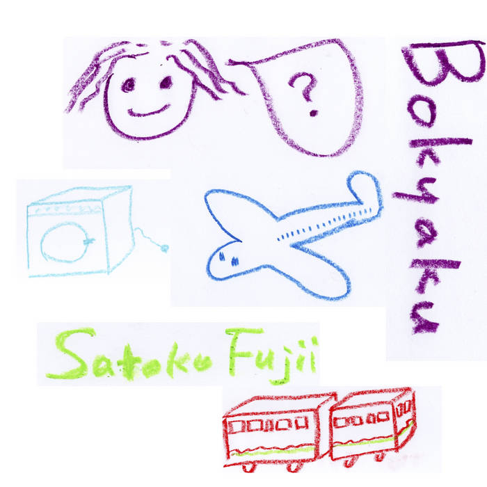 SATOKO FUJII - Bokyaku cover 