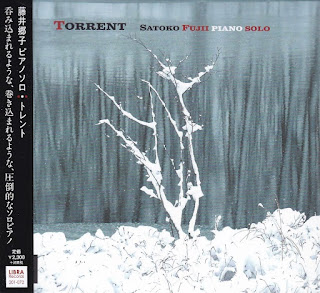 SATOKO FUJII - Torrent cover 