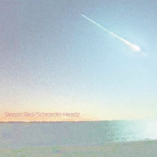 SCHROEDER-HEADZ - Sleepin' Bird cover 
