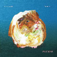 SCOTT AMENDOLA - Scott Amendola & Charlie Hunter : Pucker cover 