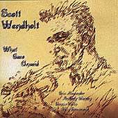 SCOTT WENDHOLDT - What Goes Unsaid cover 