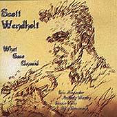 SCOTT WENDHOLT - What Goes Unsaid cover 