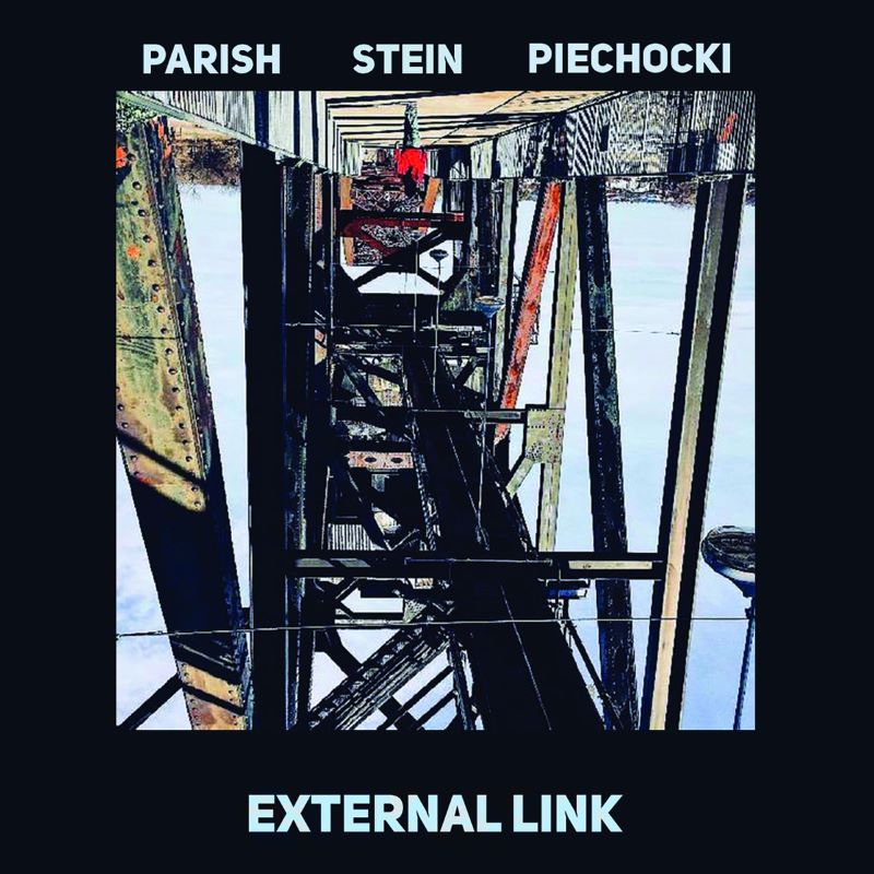 SHANE PARISH - Parish / Stein / Piechocki : External Link cover 