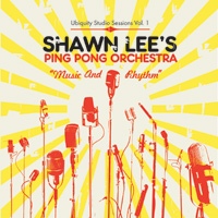 SHAWN LEE - Music And Rhythm cover 