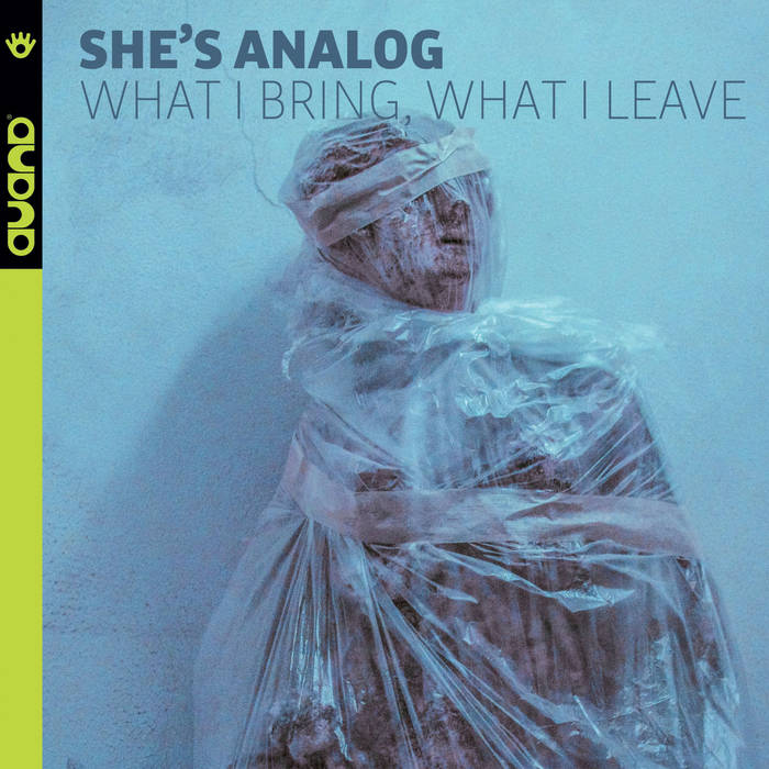 SHE'S ANALOG - What I Bring, What I Leave cover 