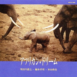 SHOJI AKETAGAWA (AKETA) - Shoji Aketagawa - Takuji Kusumoto - Tamaya Honda : African Dream cover 