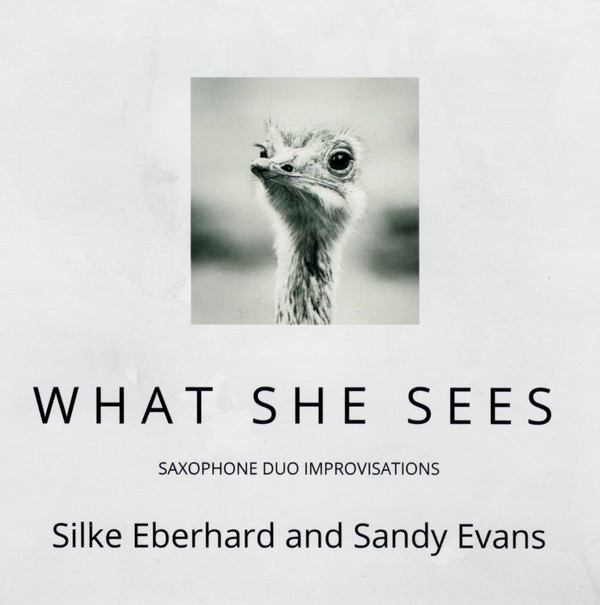 SILKE EBERHARD - Silke Eberhard And Sandy Evans : What She Sees cover 