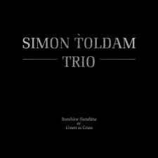 SIMON TOLDAM - Sunshine Sunshine or Green as Grass cover 