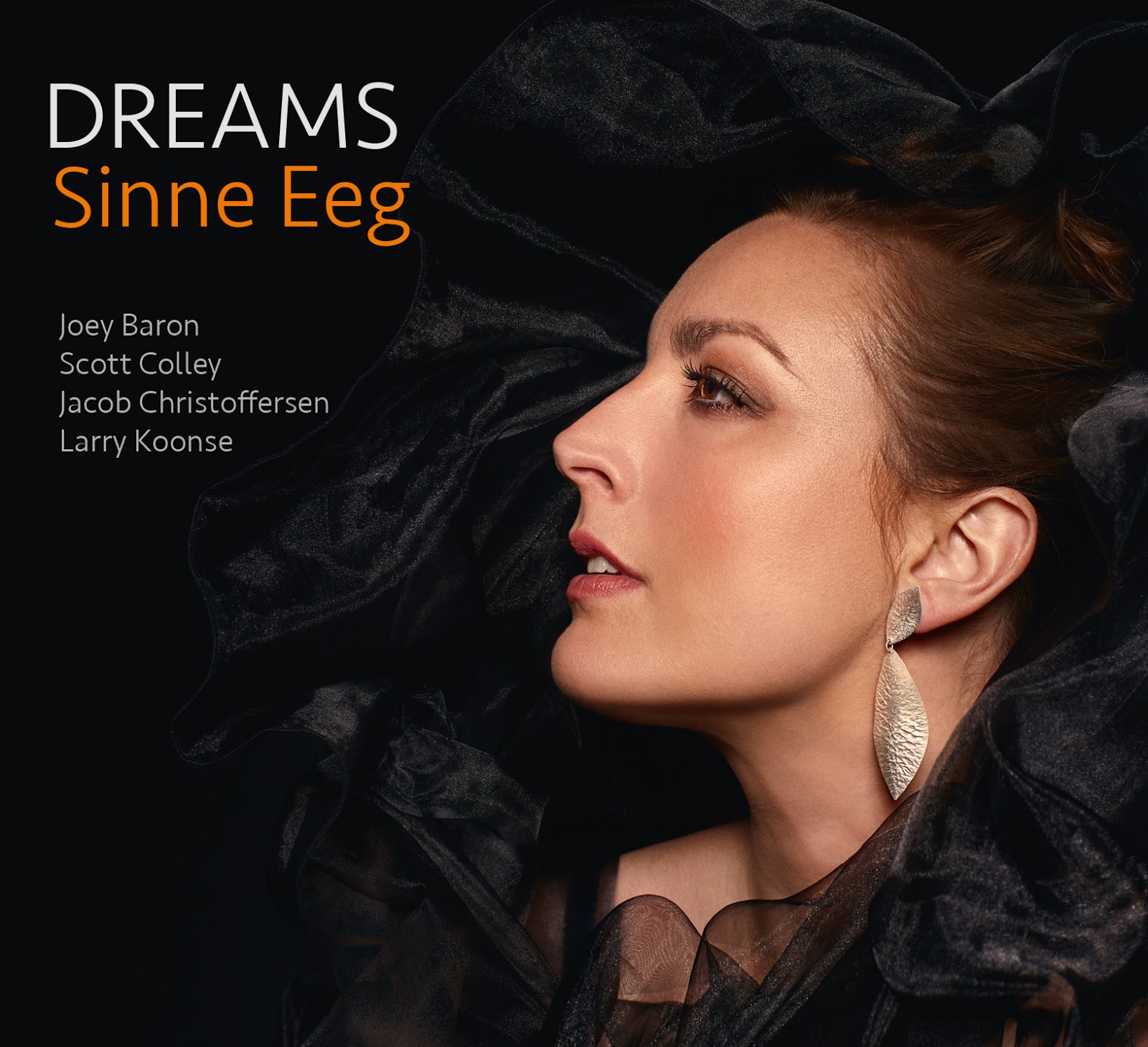 SINNE EEG - Dreams cover 