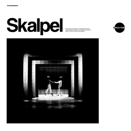 SKALPEL - Sculpture cover 