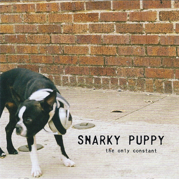 SNARKY PUPPY - The Only Constant cover 