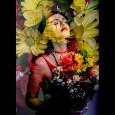 SOFIA GOODMAN - Myriad of Flowers cover 