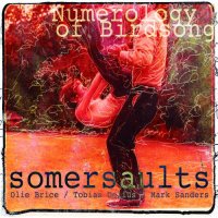SOMERSAULTS (OLIE BRICE / TOBIAS DELIUS / MARK SANDERS) - Numerology of Birdsong cover 