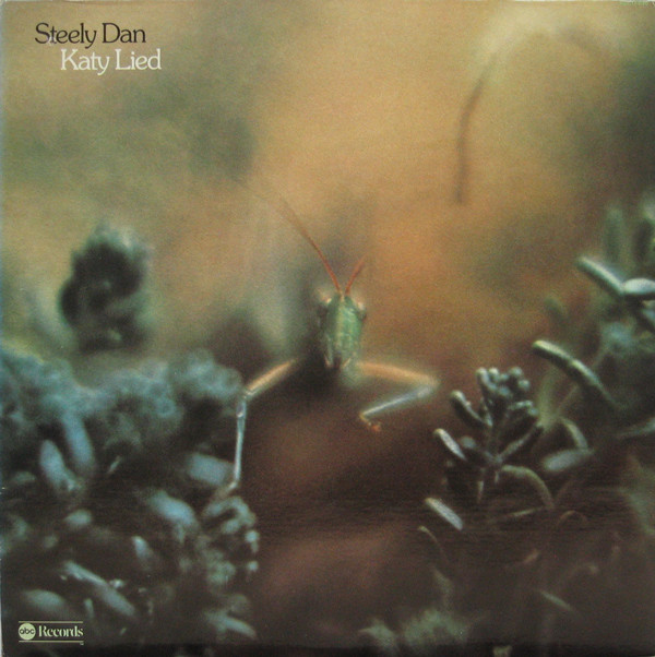 STEELY DAN - Katy Lied cover 