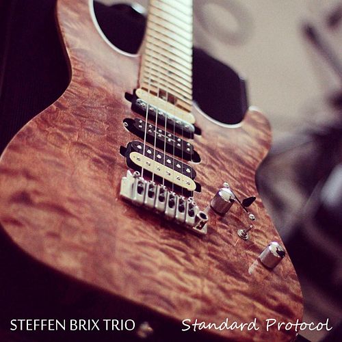 STEFFEN BRIX - Standard Protocol cover 