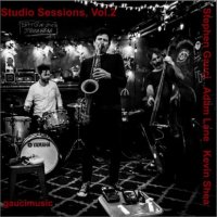 STEPHEN GAUCI - Stephen Gauci, Adam Lane, Kevin Shea : Studio Sessions, Vol. 2 cover 