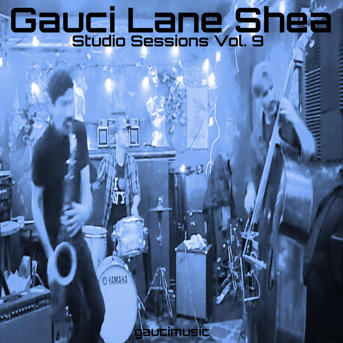STEPHEN GAUCI - Stephen Gauci ​/​ Adam Lane ​/​ Kevin Shea  :  Studio Sessions Vol. 9 cover 