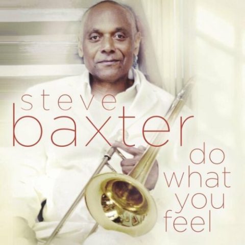 STEVE BAXTER - Do What You Feel cover 