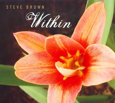 STEVE BROWN - Within cover 