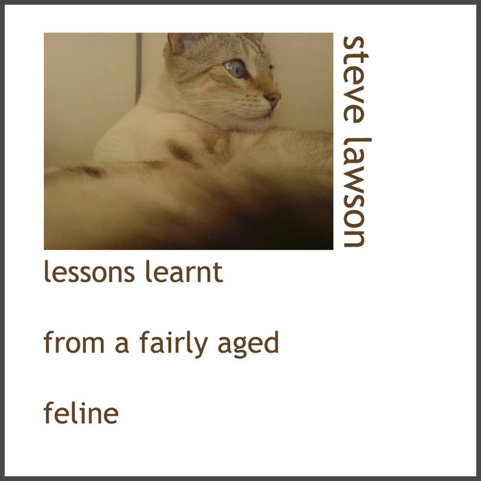 STEVE LAWSON - Lessons Learnt From An Aged Feline Pt I cover 
