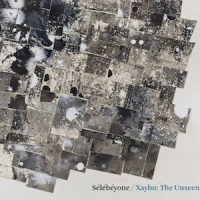 STEVE LEHMAN - Steve Lehman &amp; Slbyone : Xaybu: The Unseen cover 