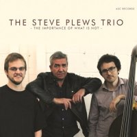 STEVE PLEWS - The Steve Plews Trio : The Importance Of What Is Not cover 